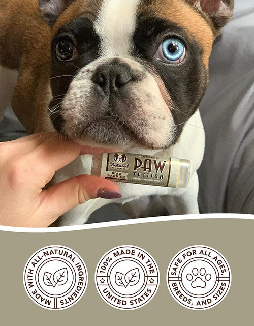 Load image into Gallery viewer, Pawtection Dog Paw Balm, Protects Paws from Hot Surfaces, Sand, Salt, &amp; Snow, Organic, All Natural Ingredients
