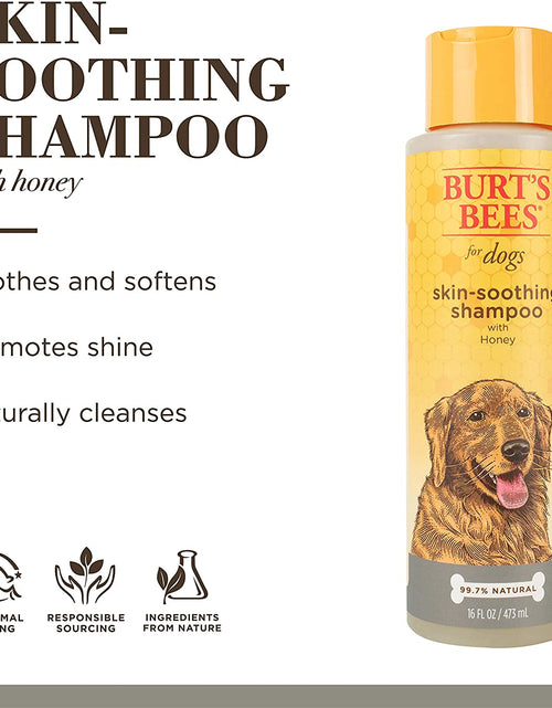 Load image into Gallery viewer, Burt&#39;S Bees for Dogs Natural Skin Soothing Shampoo with Honey - Pet Shampoo for Dogs, Burts Bees Dog Shampoo for Smelly Dogs, Puppy Shampoo, Dog Wash, Dog Grooming Supplies, Dog Bathing Supplies
