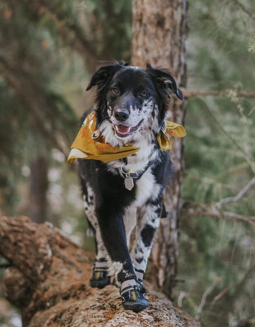 Load image into Gallery viewer, Dog Boots Waterproof Shoes for Large Dogs with Reflective Strips Rugged Anti-Slip Sole Black 4PCS (Size 6: 2.6&#39;&#39;X3.0&#39;&#39;(W*L) for 52-65 Lbs, Black)
