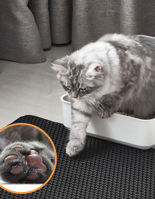 Load image into Gallery viewer, Conlun Cat Litter Mat Cat Litter Trapping Mat, Honeycomb Double Layer Design, Urine and Water Proof Material, Scatter Control, Less Waste，Easier to Clean,Washable
