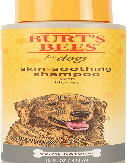 Load image into Gallery viewer, Burt&#39;S Bees for Dogs Natural Skin Soothing Shampoo with Honey - Pet Shampoo for Dogs, Burts Bees Dog Shampoo for Smelly Dogs, Puppy Shampoo, Dog Wash, Dog Grooming Supplies, Dog Bathing Supplies
