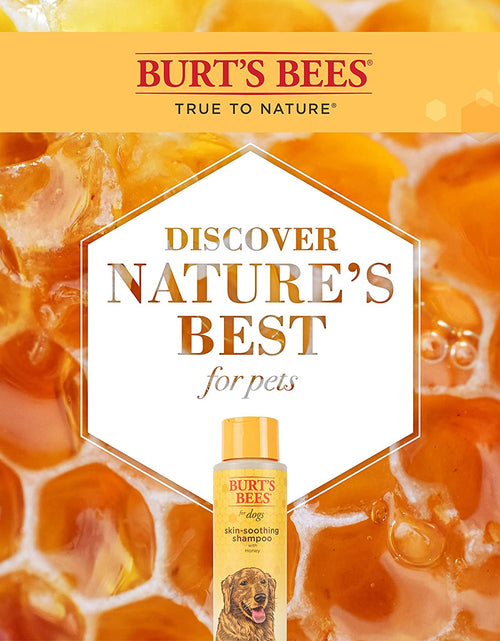 Load image into Gallery viewer, Burt&#39;S Bees for Dogs Natural Skin Soothing Shampoo with Honey - Pet Shampoo for Dogs, Burts Bees Dog Shampoo for Smelly Dogs, Puppy Shampoo, Dog Wash, Dog Grooming Supplies, Dog Bathing Supplies
